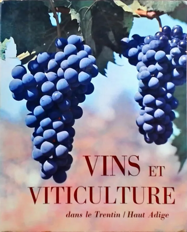Vins et viticulture : dans le Trentin / Haut Adige - Guido Gallo, Ermanno Frass Nu Kopen