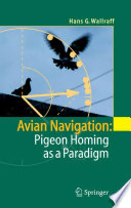 Alleen Vandaag Avian navigation - Hans G. Wallraff