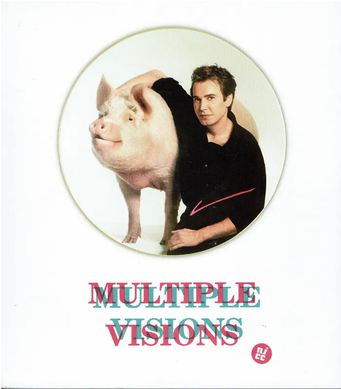 Multiple Visions - Lode Geens, Johan Pas Bestel Nu