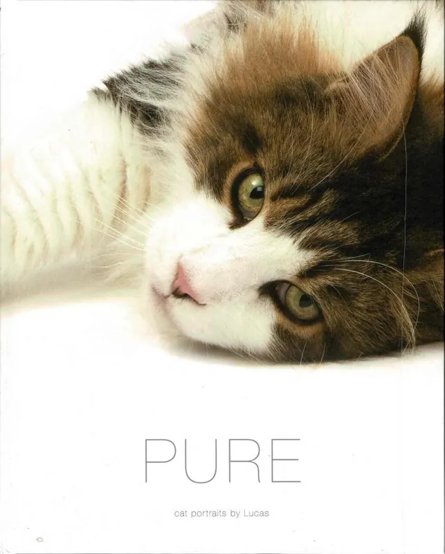 Populair Pure - Lucas De Boeck