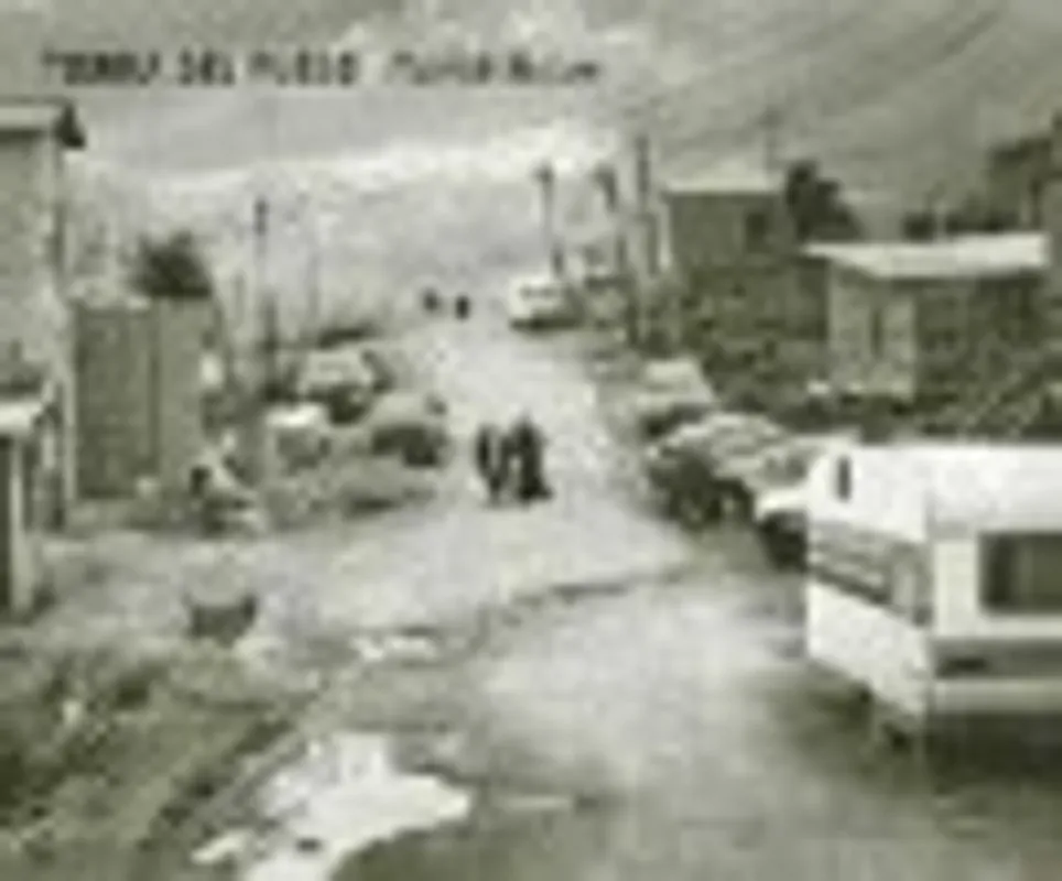 Tierra del fuego - Partick Bollen Direct Verzonden