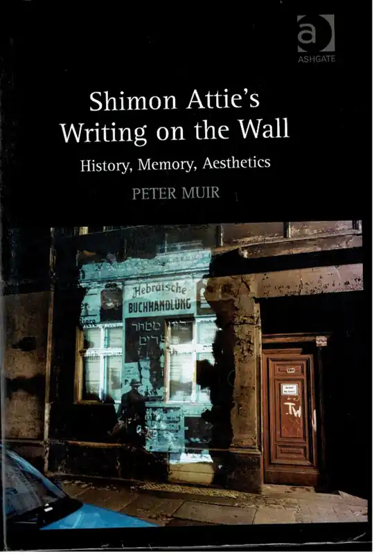 Shimon Attie's Writing on the Wall / History, Memory, Aesthetics - Peter Muir Bestel Nu