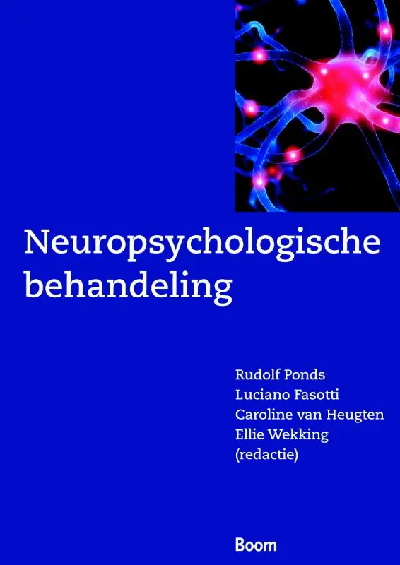 Beste Prijs Neuropsychologische behandeling - Rudolf Ponds; Luciano Fasco; Caroline van Heugten