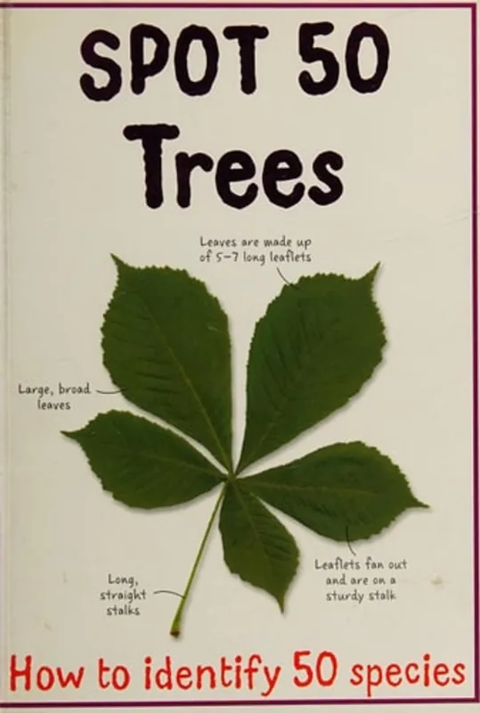 Spot 50 trees - Camilla De la Bédoyère Koop Vandaag