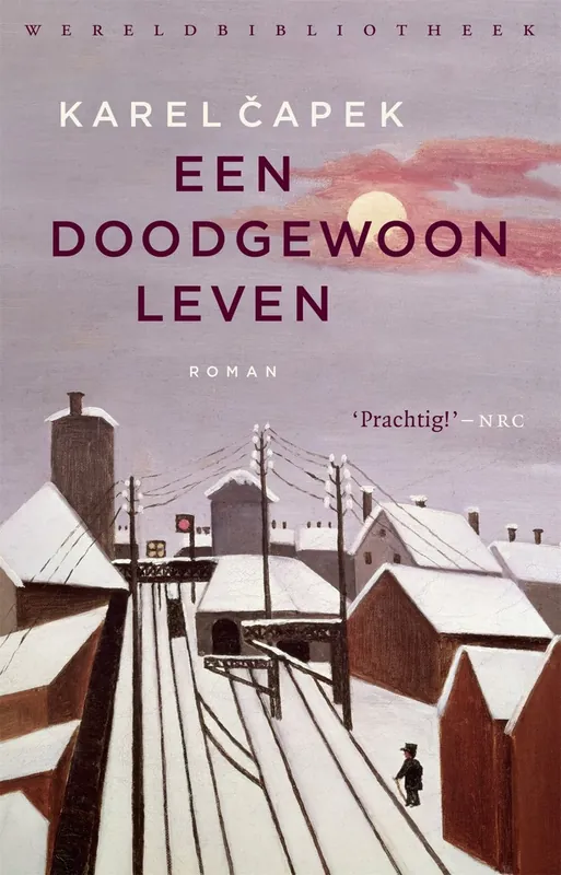 Een doodgewoon leven - Čapek Karel Lage Prijs