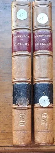 Idyllen van den koning - Alfred Tennyson Superprijs