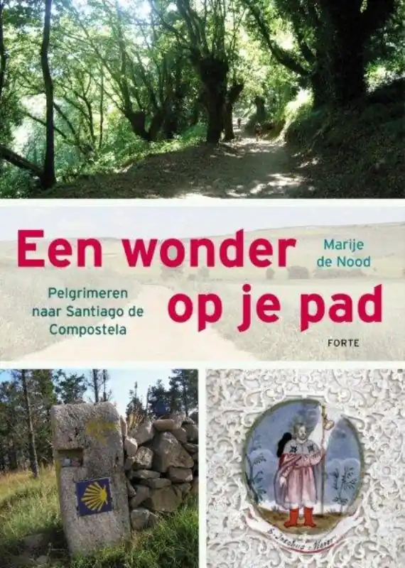 Direct Verzonden Een wonder op je pad - Marije de Nood