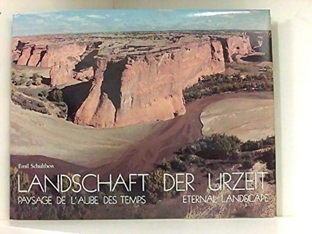 Landschaft der Urzeit - Emil Schulthess Direct Beschikbaar