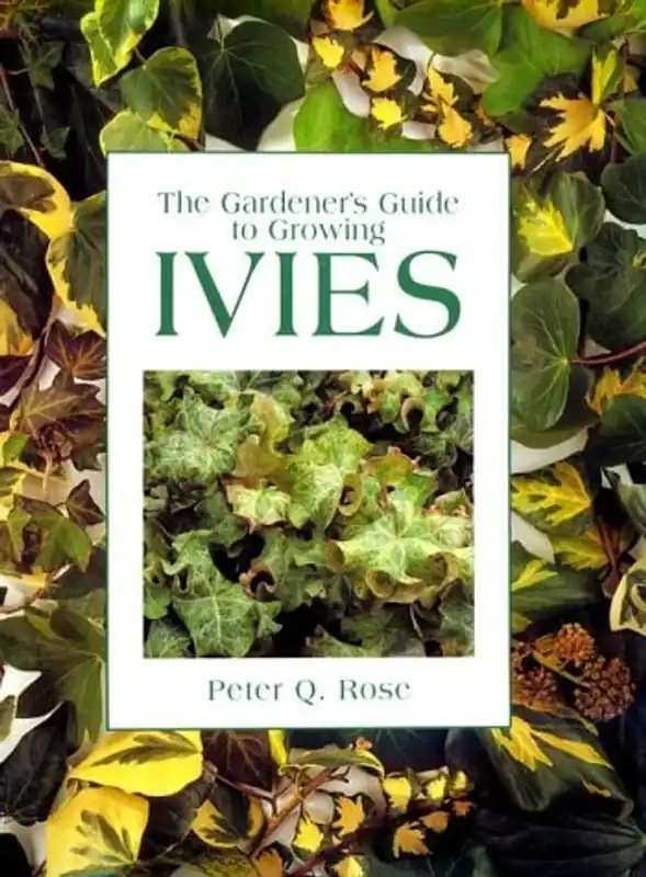 The gardener's guide to growing ivies - Peter Q. Rose Lage Prijs