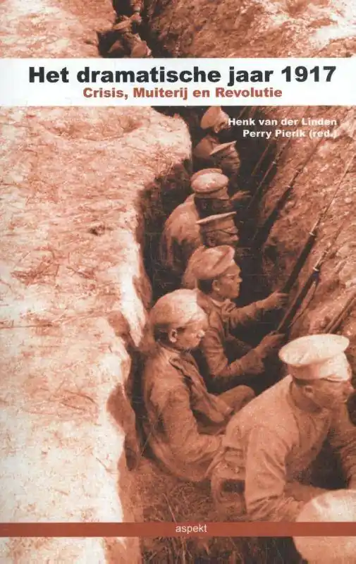 Het dramatische jaar 1917 / Druk 1 Flitsaanbieding