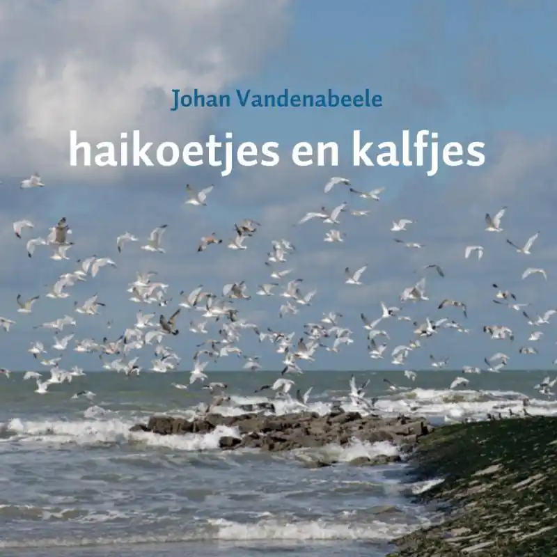 Haikoetjes en kalfjes / Druk 1 Dagaanbieding