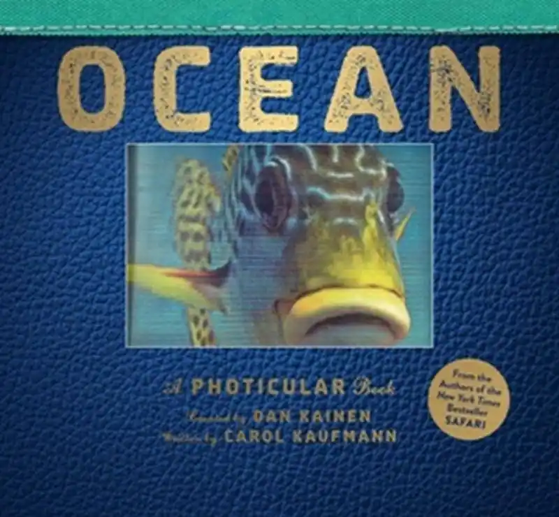 Nieuw Ocean
