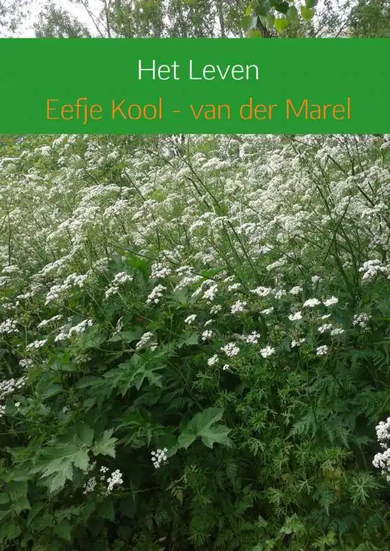 Nieuw Het leven / Druk 1
