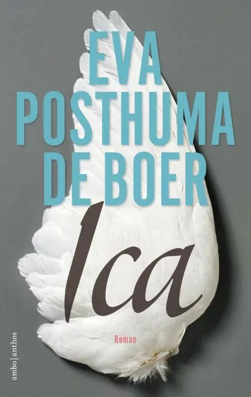 Veilige Betaling Ica / Druk 2