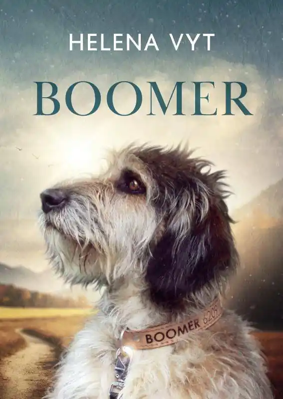 Boomer / Druk 1 Actieprijs