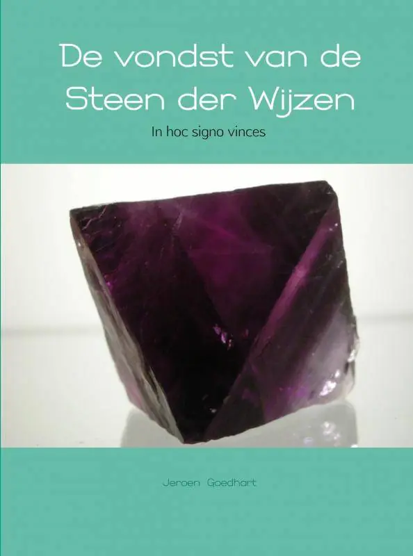 De vondst van de Steen der Wijzen / Druk 6 Koop Online