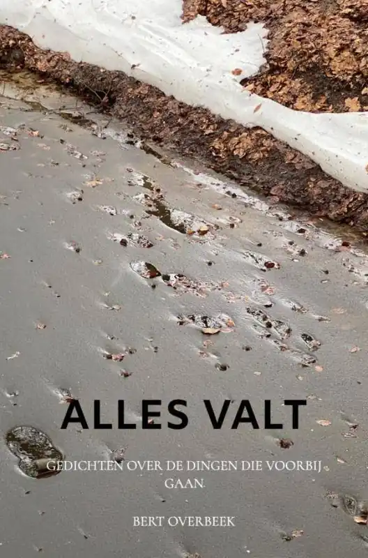 Alles valt / Druk 1 Direct Verzonden