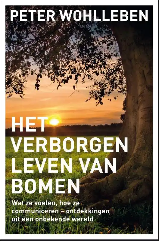 Weekendaanbieding Het verborgen leven van bomen / Druk 1