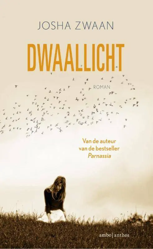 Dwaallicht / Druk 2 Finale Uitverkoop