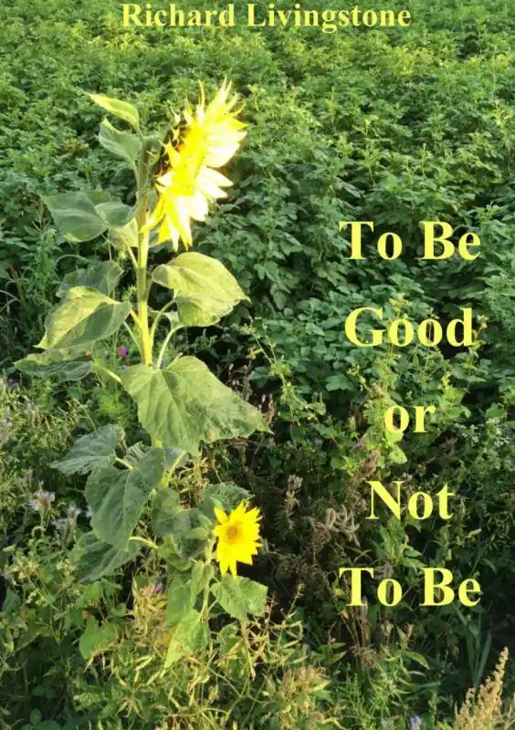 Beperkte Voorraad To be good or not to be / 2nd Edition