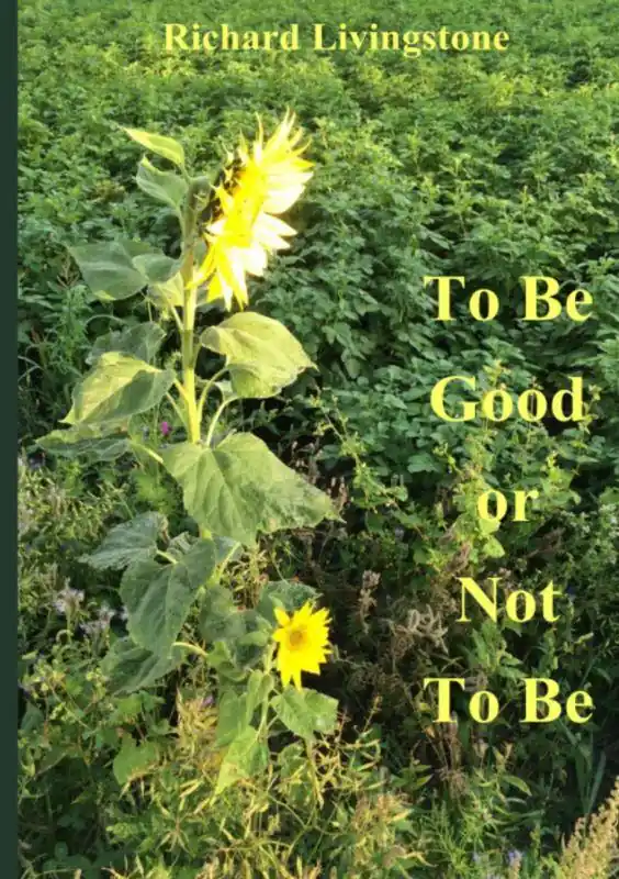 To be good or not to be / Druk 1 Merkproduct