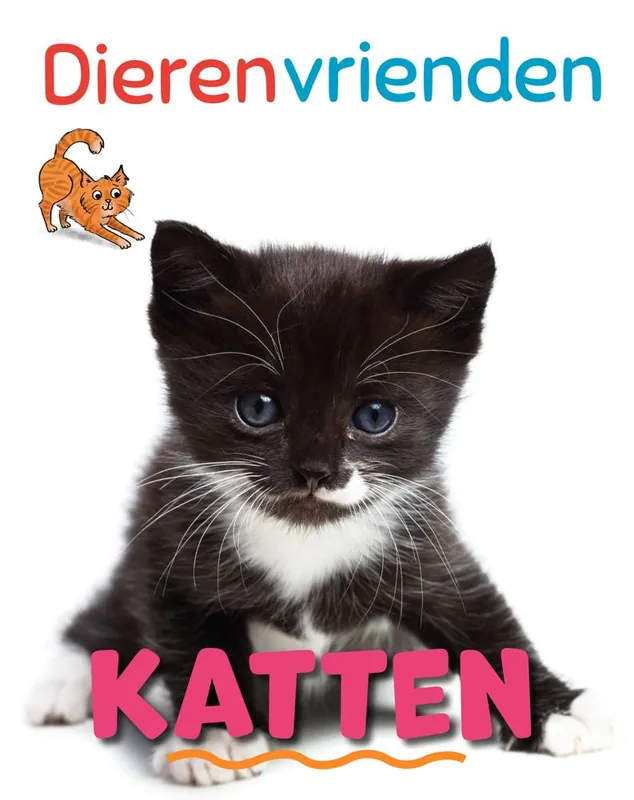 Katten / Druk 1 Koop Online