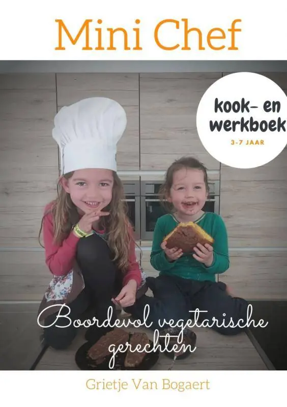 Direct Verzonden Mini Chef / Druk 2