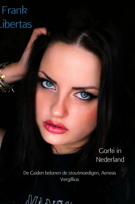 Gorki in Nederland / Druk 1 Koop Online