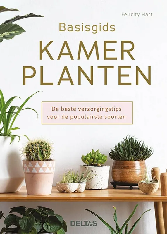 Basisgids kamerplanten / Druk 1 Voordeelprijs