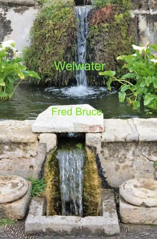 Hoge Kwaliteit Welwater / Druk 1
