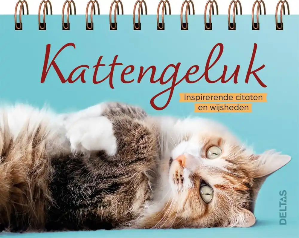 Kattengeluk - Tafelstaander / Druk 1 Direct Verzonden