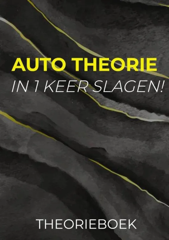 Auto theorie: In 1 Keer Slagen / Druk 1 Gratis Verzending
