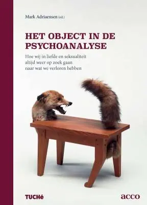 Het object in de psychoanalyse / Druk 1 Populair