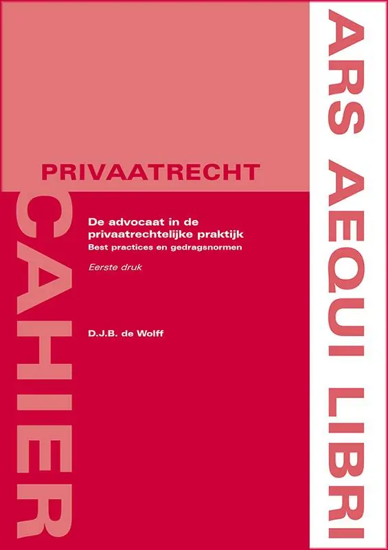 Alleen Vandaag De advocaat in de privaatrechtelijke praktijk / Druk 1