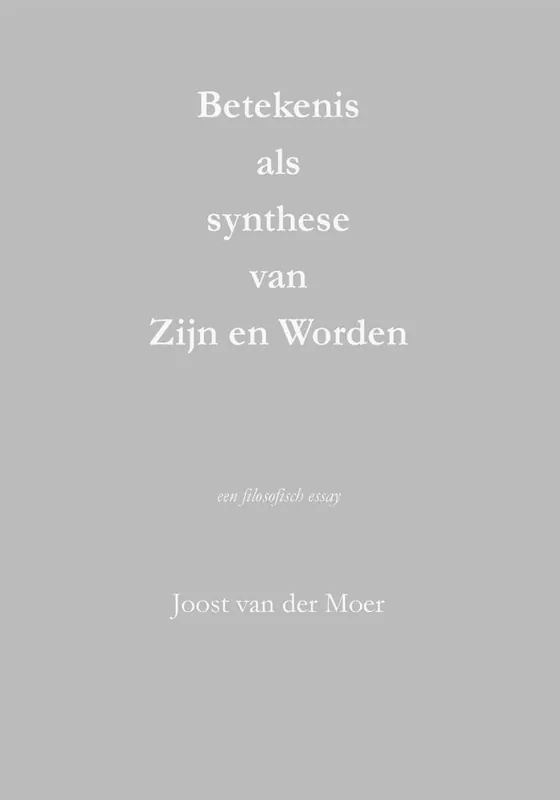 Direct Verzonden Betekenis als synthese van Zijn en Worden / Druk 1