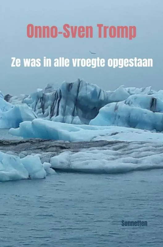 Ze was in alle vroegte opgestaan / Druk 1 Shop Nu