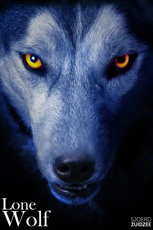Lone wolf / Druk 1 Betrouwbaar