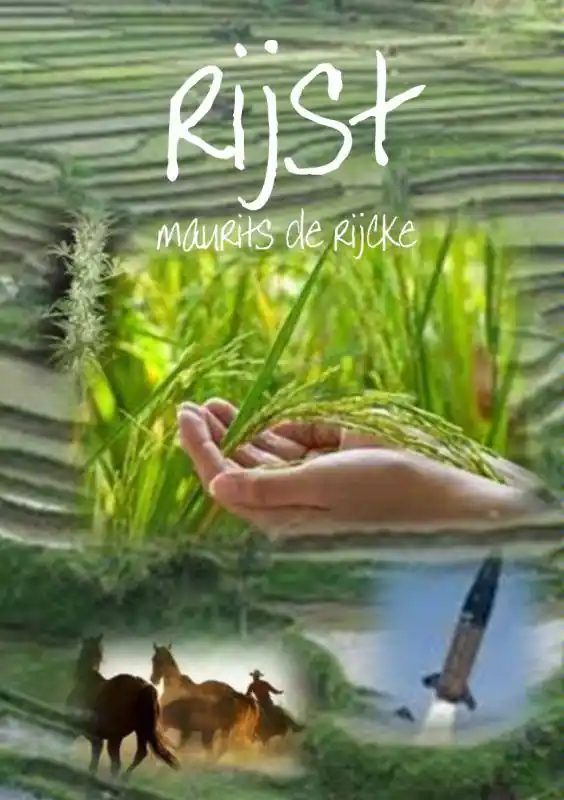 Rijst / Druk 1 Koopje