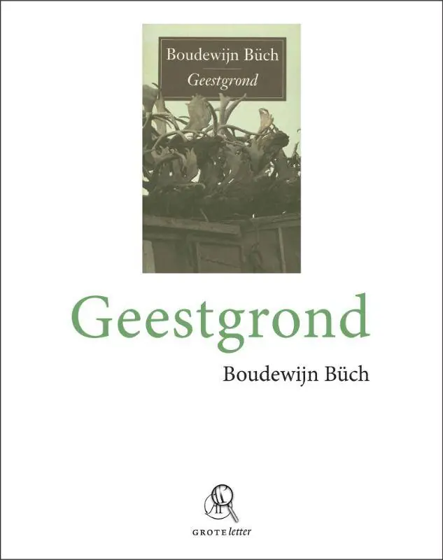 Geestgrond Lage Kosten