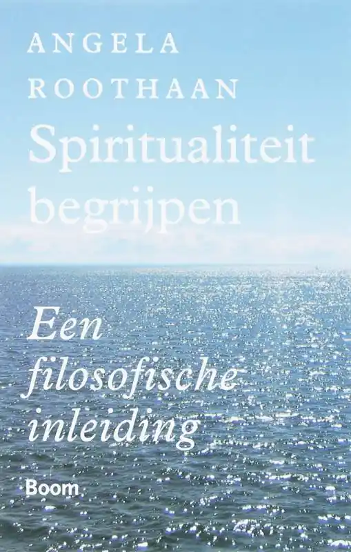 Spiritualiteit begrijpen / Druk 1 Lage Prijs