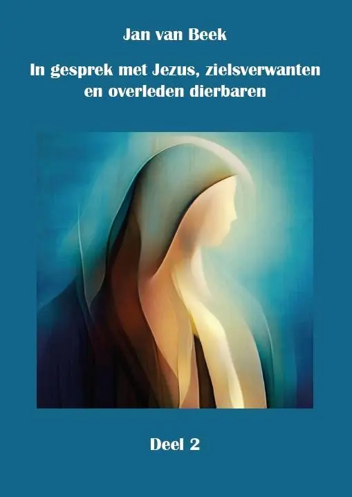 Voordeelprijs In gesprek met Jezus, gidsen, zielsverwanten en overleden dierbaren / Druk 1