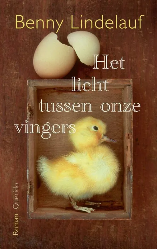 Veilige Betaling Het licht tussen onze vingers / Druk 1