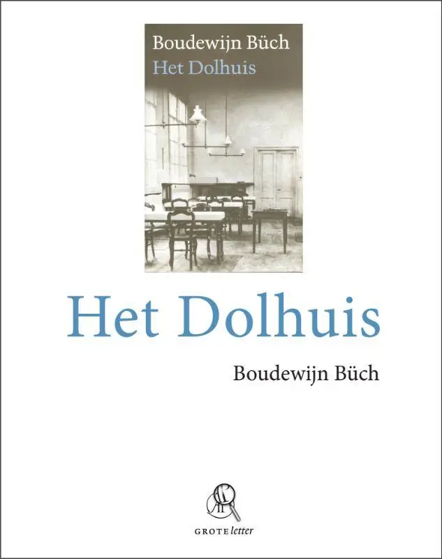 Rechtstreeks Van De Fabrikant Het dolhuis