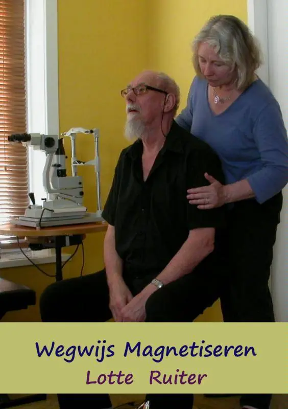 Flitsaanbieding Wegwijs magnetiseren / Druk 1