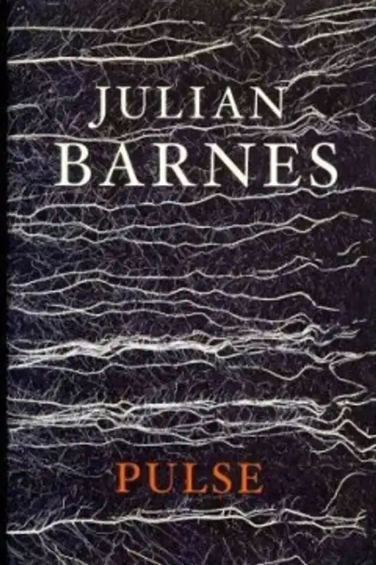 Beste Prijs Pulse - Julian Barnes