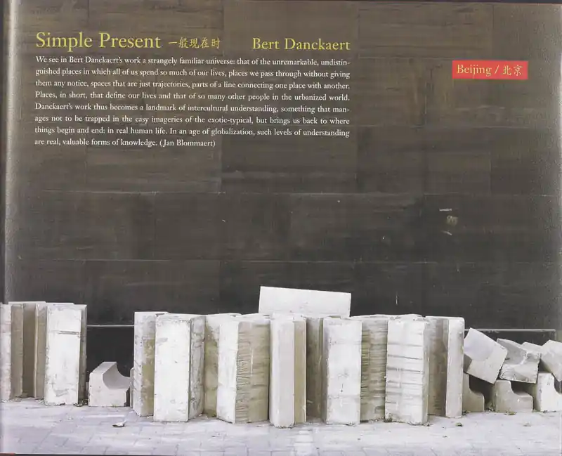 Hoge Kwaliteit Simple Present - B. Danckaert & J. Blommaert