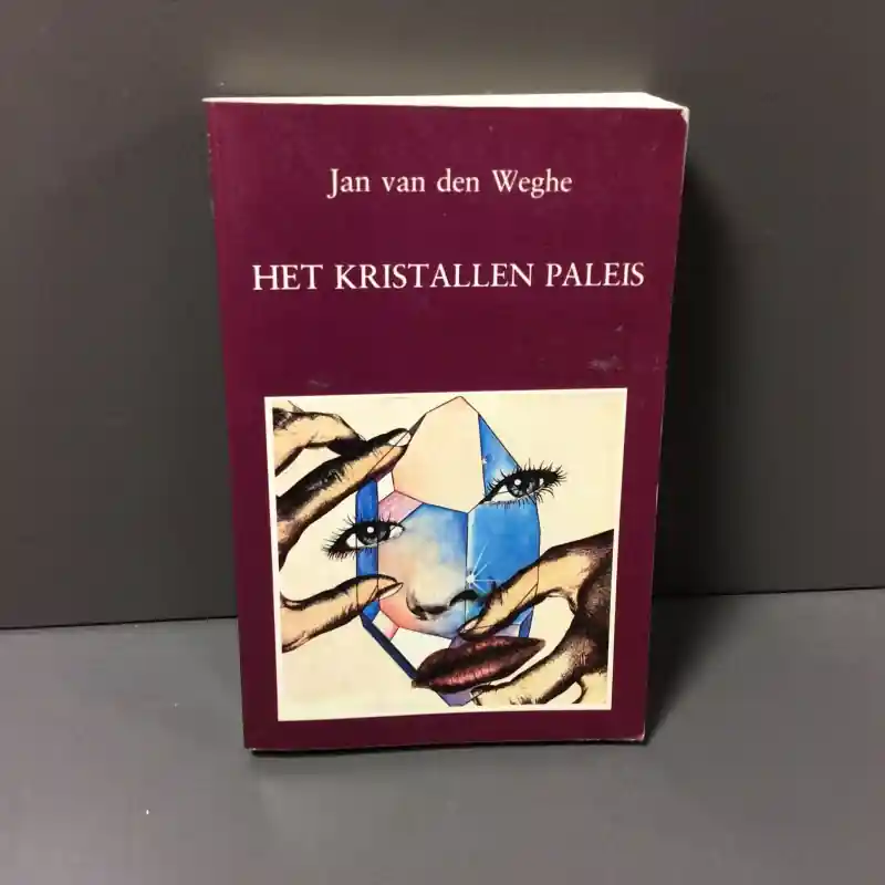 Het kristallen paleis - Jan van den Weghe Shop Nu