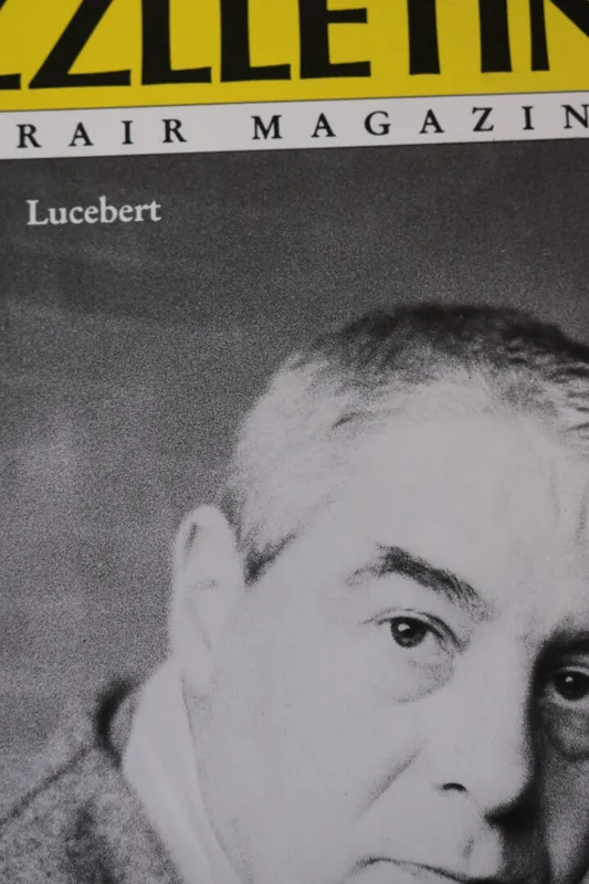 Populair Lucebert - Onbekende auteur