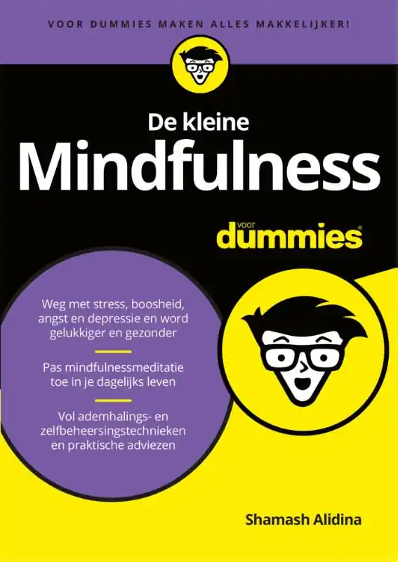 Finale Uitverkoop De kleine mindfulness voor dummies - Shamash Alidina