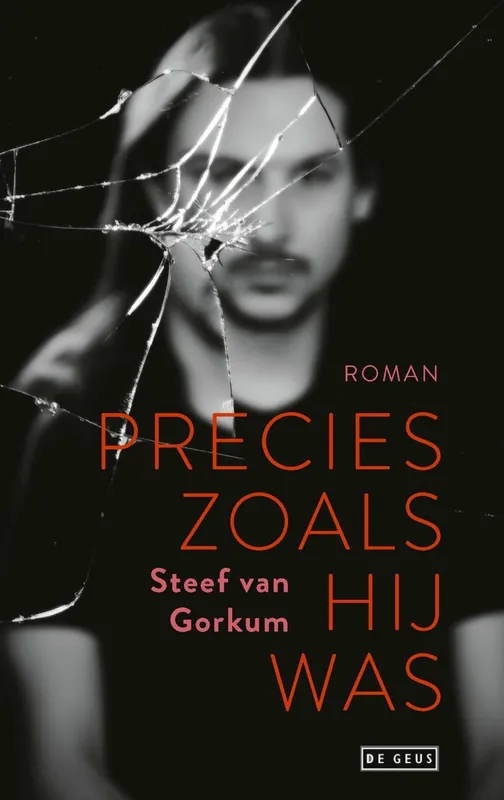 Precies zoals hij was - Steef Van Gorkum Rechtstreeks Van De Fabrikant